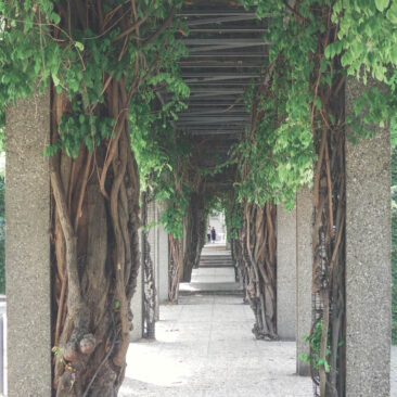 Architecture - Allée couverte et végétalisée à Grenoble