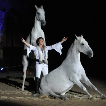 Un cheval sur leur cavaliers - Spectacle équestre Libertad